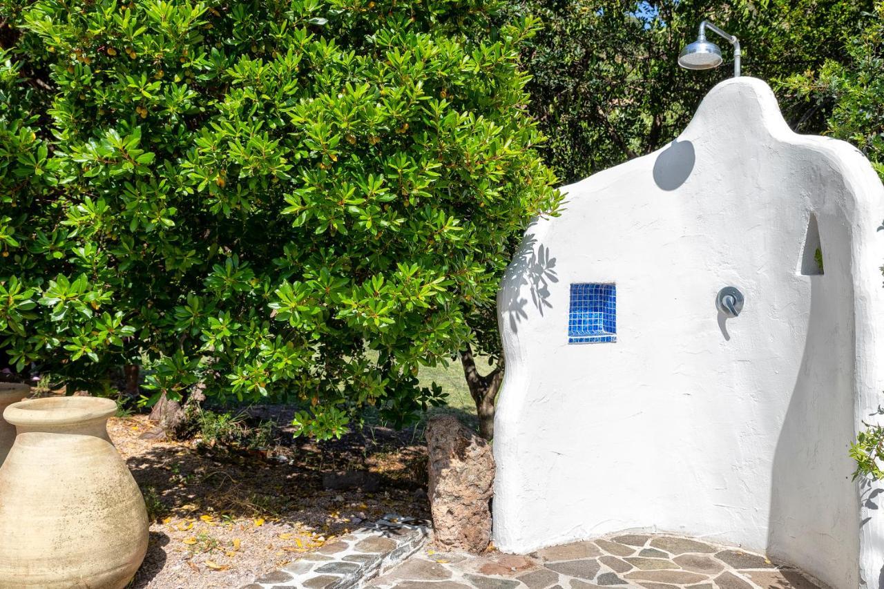 阿尔盖罗Sardinia Re - Casa Luisa With Pool公寓 外观 照片